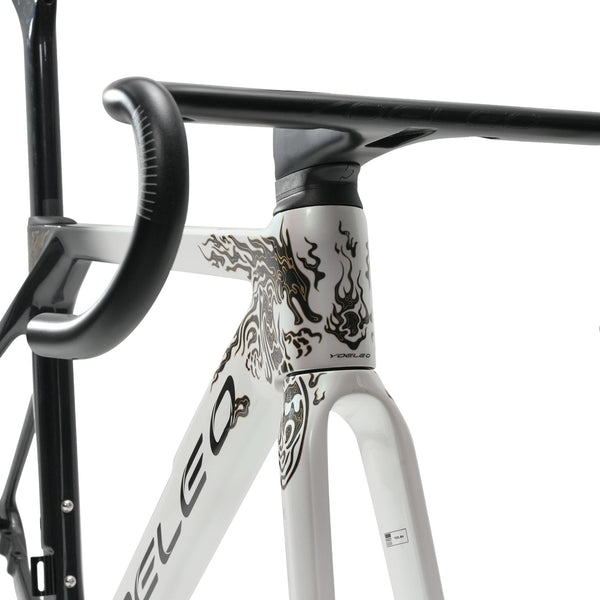 R12 DB Disc Brake Bike Frameset - YOELEO